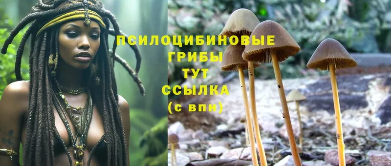 даркнет сайт  Короча  Псилоцибиновые грибы Cubensis 